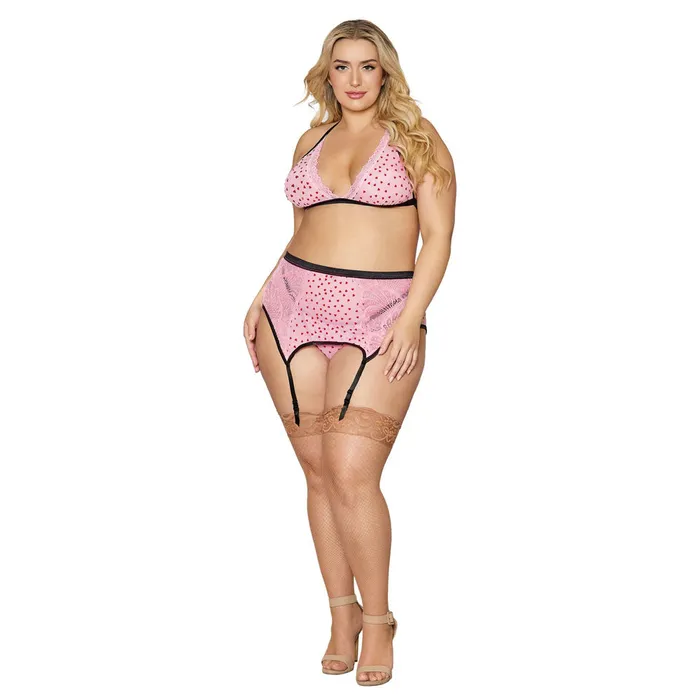 DREAMGIRL Dildos Dreamgirl Lingerie Flocked Heart Mesh and Lace 3 Piece Garter Set Pink 12678X